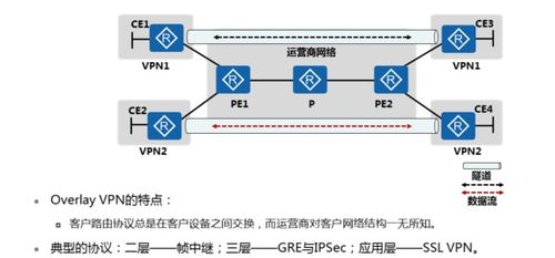 MPLS虛擬專用網(wǎng)絡(luò)技術(shù)原理與配置